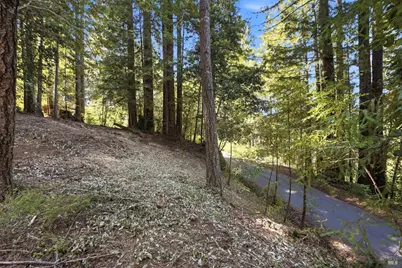 17554 Woods Avenue, Guerneville, CA 95446 - Photo 14