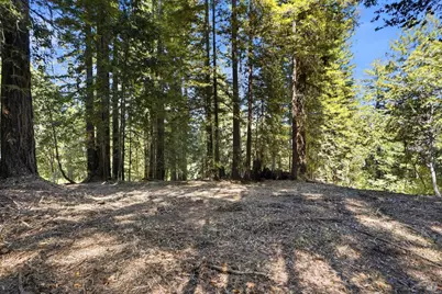 17554 Woods Avenue, Guerneville, CA 95446 - Photo 10