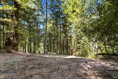 17554 Woods Avenue, Guerneville, CA 95446 - Photo 4