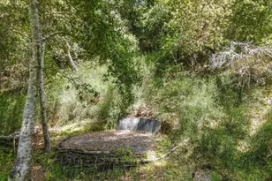 169 Resaca Ave, Forest Knolls, CA 94933 - Photo 36