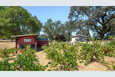 1240 Alexander Valley Road, Healdsburg, CA 95448 - Photo 16