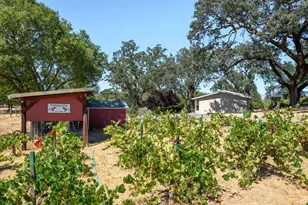 1240 Alexander Valley Rd, Healdsburg, CA 95448 - Photo 16