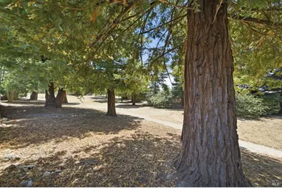205 Avenida Barbera, Sonoma, CA 95476 - Photo 32