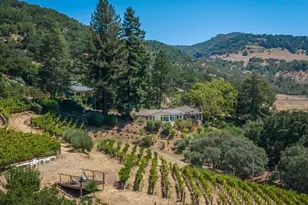 6006 Wild Horse Valley Rd, Napa, CA 94558 - Photo 54