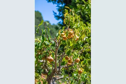 6006 Wild Horse Valley Road, Napa, CA 94558 - Photo 62