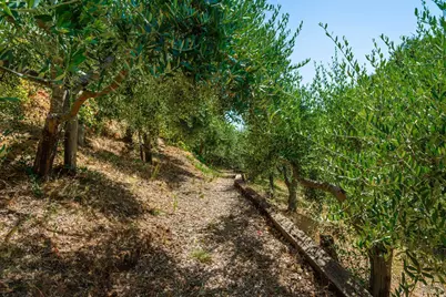 6006 Wild Horse Valley Road, Napa, CA 94558 - Photo 60
