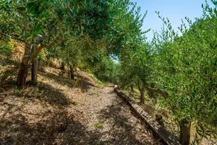 6006 Wild Horse Valley Rd, Napa, CA 94558 - Photo 60
