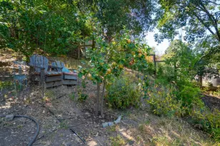 121 Belle View Ave, Petaluma, CA 94952 - Photo 62