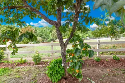 2060 Hagen Road, Napa, CA 94558 - Photo 54