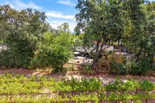 1261 Spring Brook Ct, Saint Helena, CA 94574 - Photo 66