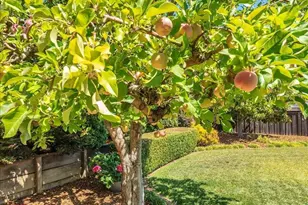 180 Apollo Ct, Novato, CA 94947 - Photo 36