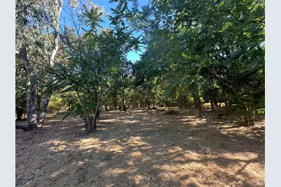 250 Napa Road, Sonoma, CA 95476 - Photo 2