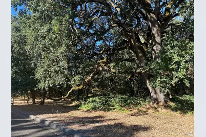 250 Napa Road, Sonoma, CA 95476 - Photo 4