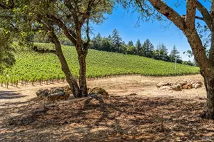 1075 Greenfield Rd, Saint Helena, CA 94574 - Photo 4