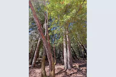 25023 Robin Circle, Willits, CA 95490 - Photo 4