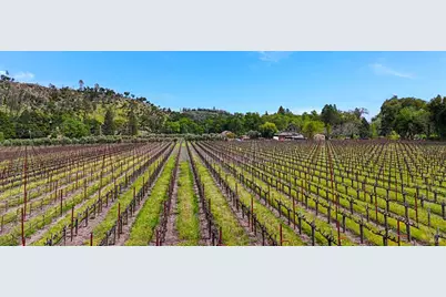 3867 Silverado Trail, Calistoga, CA 94515 - Photo 6