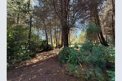 31290 Thomas Lane, Fort Bragg, CA 95437 - Photo 30