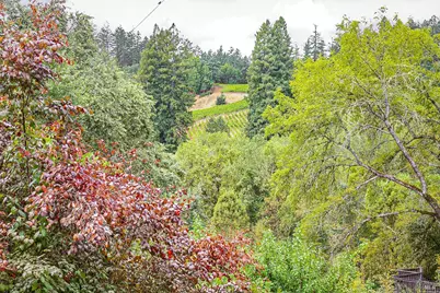 9412 Westside Road, Forestville, CA 95436 - Photo 28