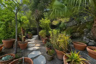 200 The Alameda, San Anselmo, CA 94960 - Photo 18