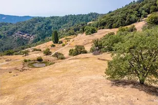 59665 Bell Springs Rd, Laytonville, CA 95454 - Photo 6