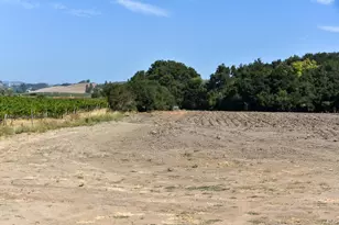 3316 Sonoma Hwy, Napa, CA 94559 - Photo 48