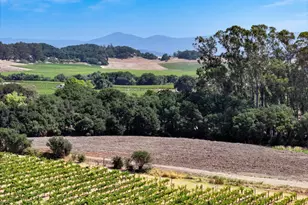 3316 Sonoma Hwy, Napa, CA 94559 - Photo 4