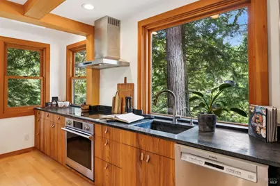 380 Larch Road, Bolinas, CA 94924 - Photo 10