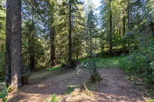 2132 Green Hill Rd, Sebastopol, CA 95472 - Photo 44
