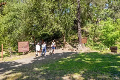 4100 Petrified Forest Road, Calistoga, CA 94515 - Photo 56
