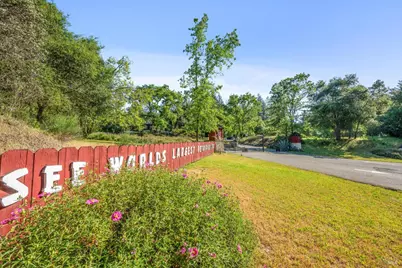 4100 Petrified Forest Road, Calistoga, CA 94515 - Photo 2