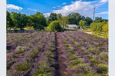 4550 Soda Bay Road, Kelseyville, CA 95451 - Photo 74