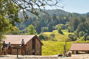 3466 Warm Springs Rd, Glen Ellen, CA 95442 - Photo 52