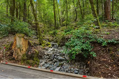 19300 Fort Ross Road, Cazadero, CA 95421 - Photo 6