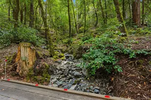 19300 Fort Ross Rd, Cazadero, CA 95421 - Photo 6