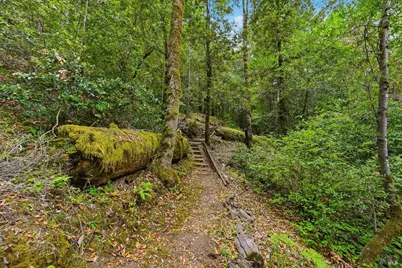 19300 Fort Ross Road, Cazadero, CA 95421 - Photo 54