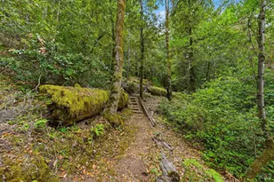 19300 Fort Ross Rd, Cazadero, CA 95421 - Photo 54