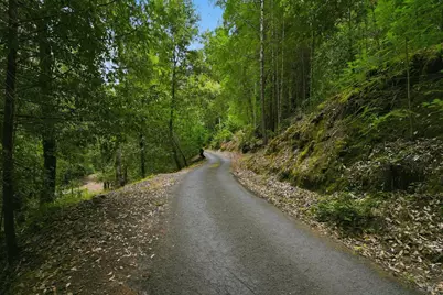 19300 Fort Ross Road, Cazadero, CA 95421 - Photo 4