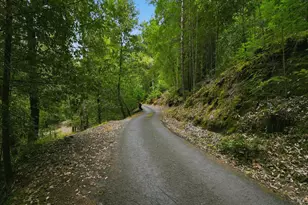 19300 Fort Ross Rd, Cazadero, CA 95421 - Photo 4