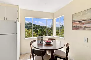 40 S Knoll Rd, Mill Valley, CA 94941 - Photo 12