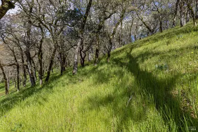 9206 Chalk Hill Road, Healdsburg, CA 95448 - Photo 40