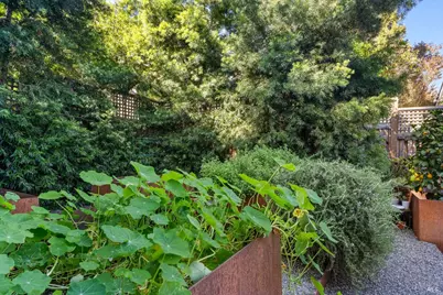 346 Piper Street, Healdsburg, CA 95448 - Photo 26