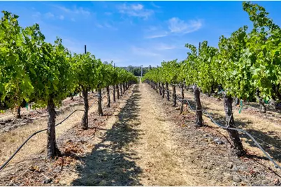 7555 Highway 29, Kelseyville, CA 95451 - Photo 58