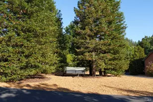 6501 Ellen Ln, Forestville, CA 95436 - Photo 54
