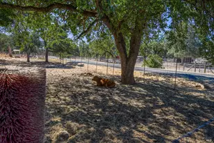 20766 Yankee Valley Rd, Hidden Valley Lake, CA 95467 - Photo 36