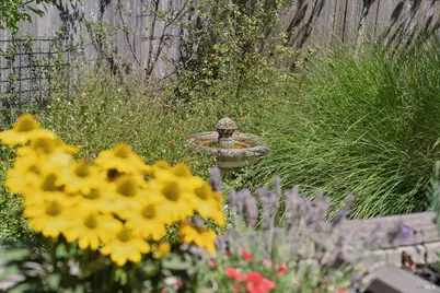 20 Medway Road, San Anselmo, CA 94960 - Photo 54