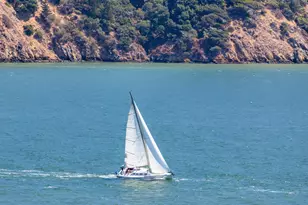 162 Solano St, Tiburon, CA 94920 - Photo 42