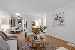 223 Lincoln Ave, Cotati, CA 94931 - Photo 6