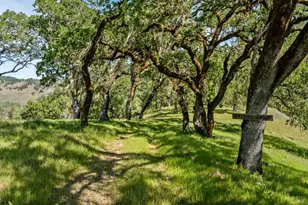 2800 Feliz Creek Rd, Hopland, CA 95449 - Photo 36