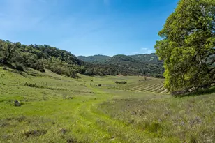 2800 Feliz Creek Rd, Hopland, CA 95449 - Photo 32