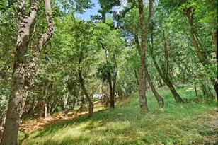 140 Francis Ave, Fairfax, CA 94930 - Photo 26